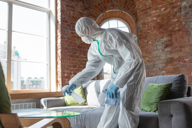 Best Mold Remediation for Healthcare Facilities in Sconsin Rapids, WI